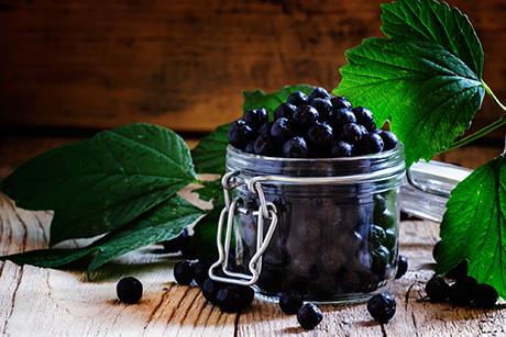 Aroniabeeren