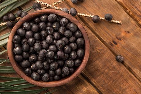 Die Acai Beere – ein Superfood aus Brasilien