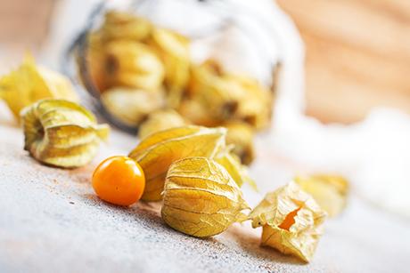 Physalis - die vielseitige Beere aus den Hochregionen Südamerikas