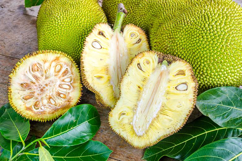 Jackfruit - Fleischersatz aus den Tropen