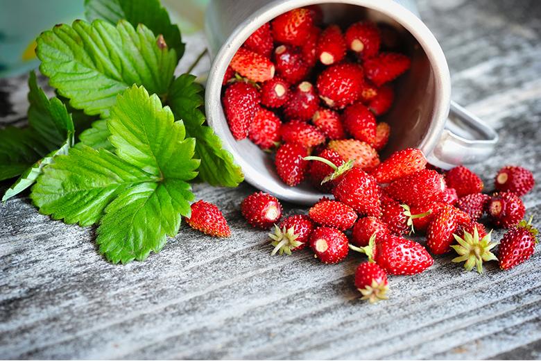 Walderdbeeren