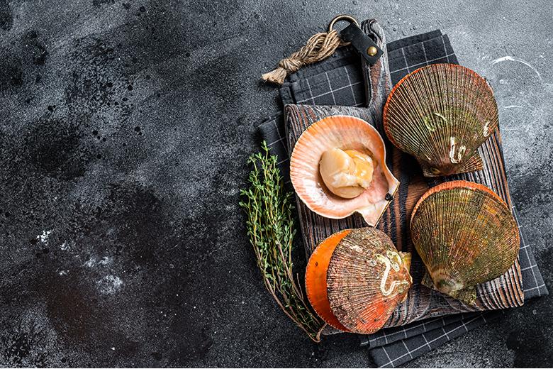 Coquilles St. Jacques