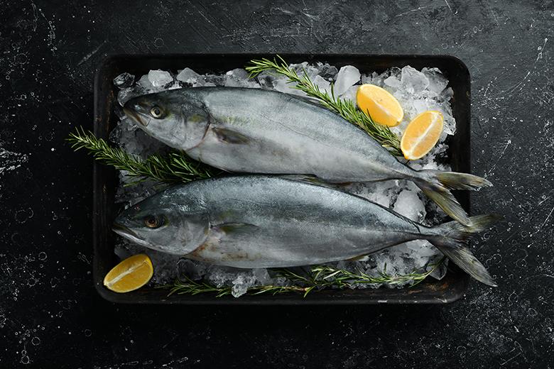 Thunfisch