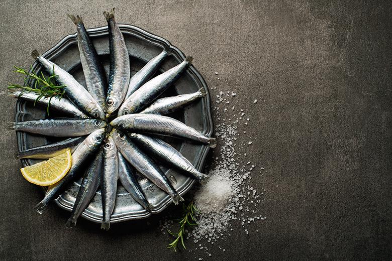 Sardine