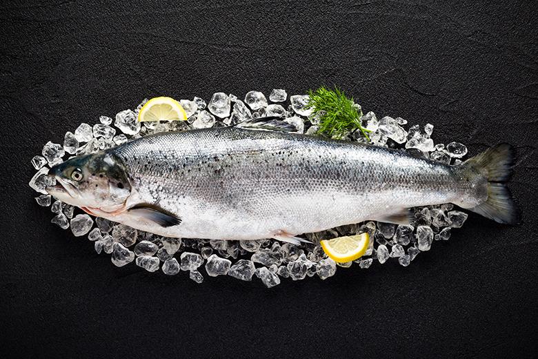 Lachs