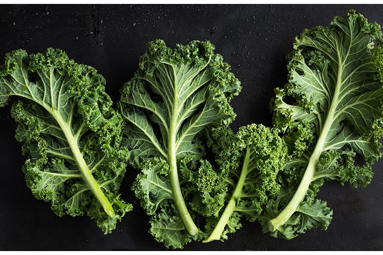 Federkohl