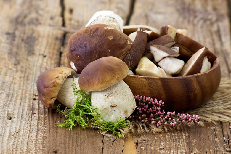 Steinpilz