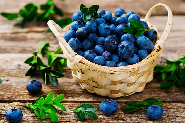 Top 10 Heidelbeer-Rezepte
