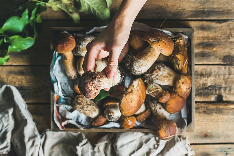 Top 10 Steinpilz-Rezepte