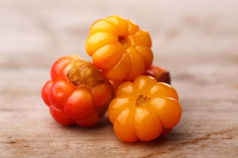 Moltebeeren