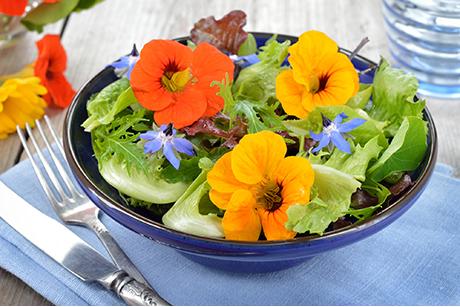 Essbare Blüten und Blumen
