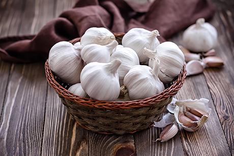 Knoblauch - das Gewürz der Vampire