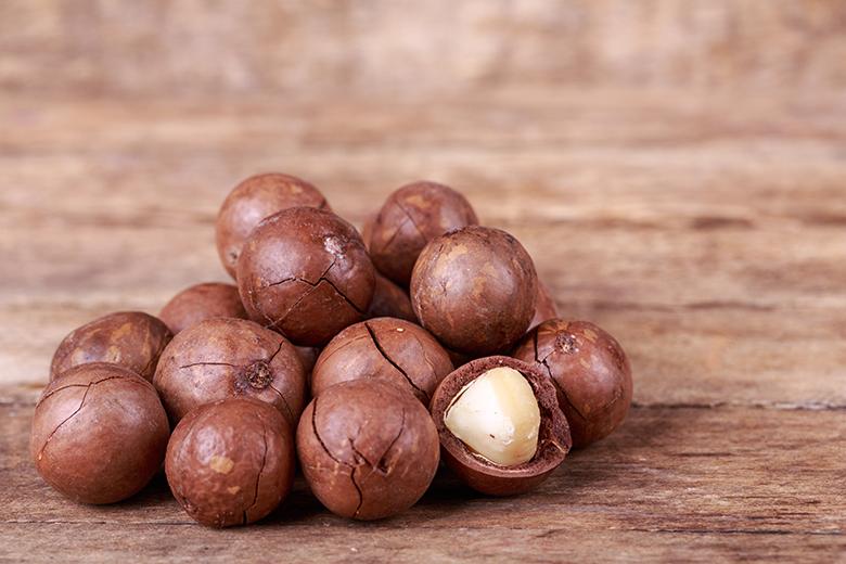 Macadamia