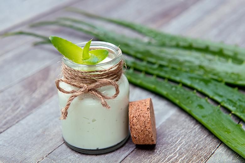 Aloe-Vera-Creme selbst herstellen
