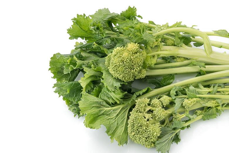 Mein Gemüsegarten: Cime di Rapa