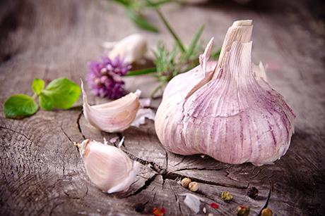 Lecker gewürzt mit: Knoblauch!
