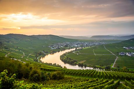 Weinland Deutschland - deutscher Wein