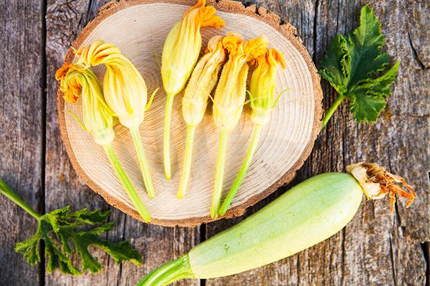 Marktbummel Sommer - Hochsaison für Naschkatzen