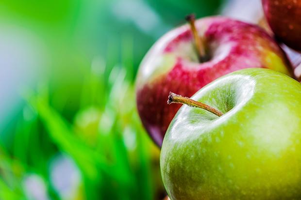 Vegetarisch oder vegan: pflanzlich betont leben