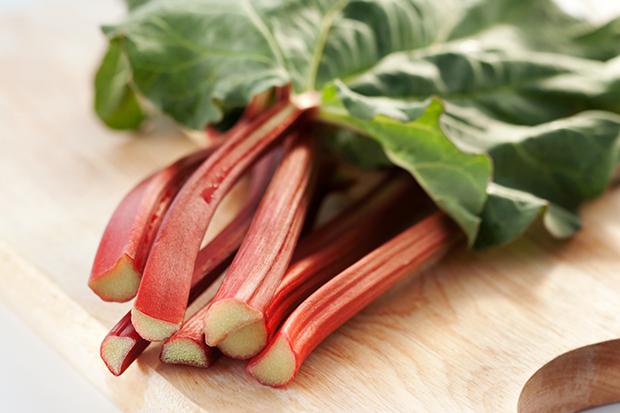 Rhabarber, sehr schmackhaft und gesund