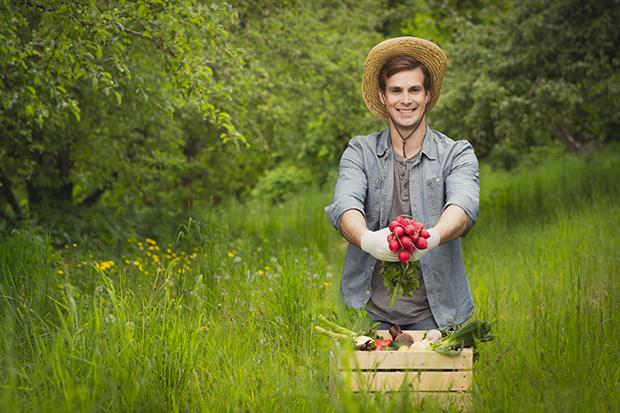Radieschen, vitaminreich und gesund