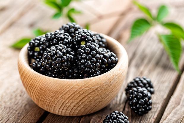 Brombeere