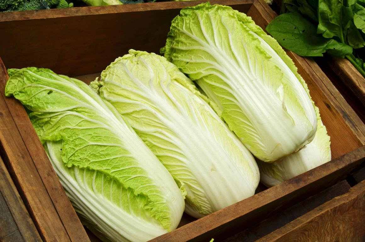 Chinakohl