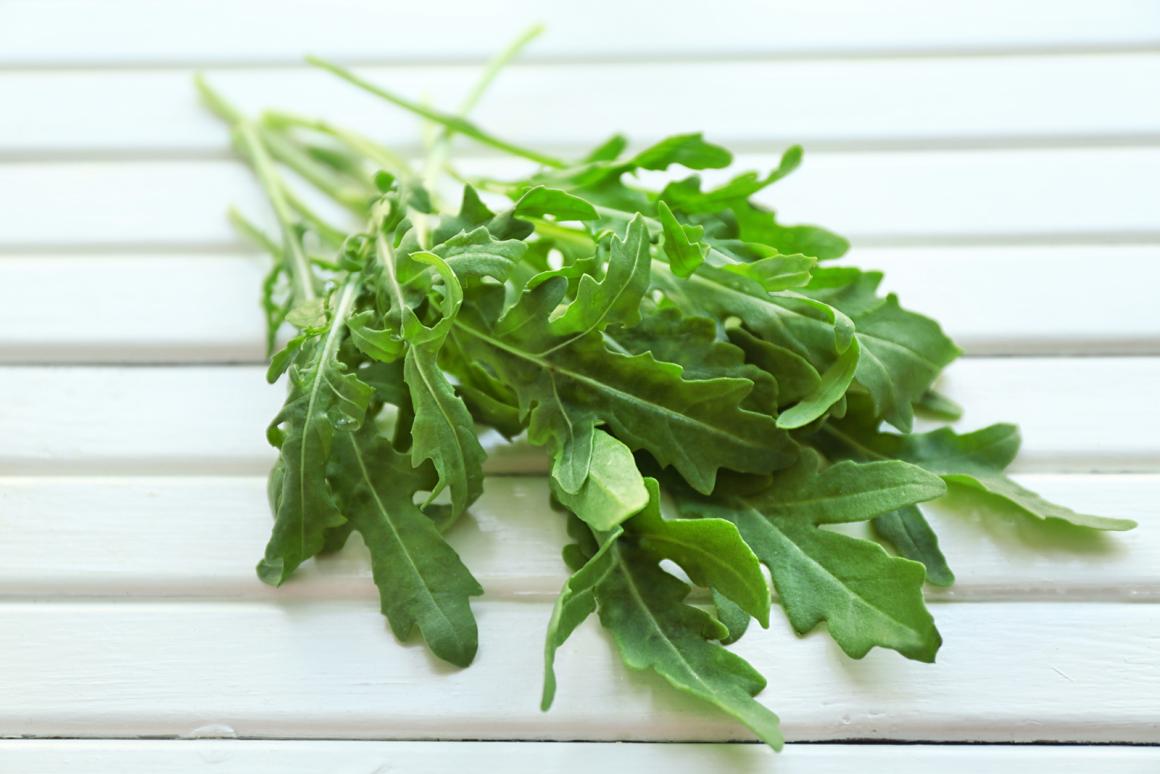 Rucola