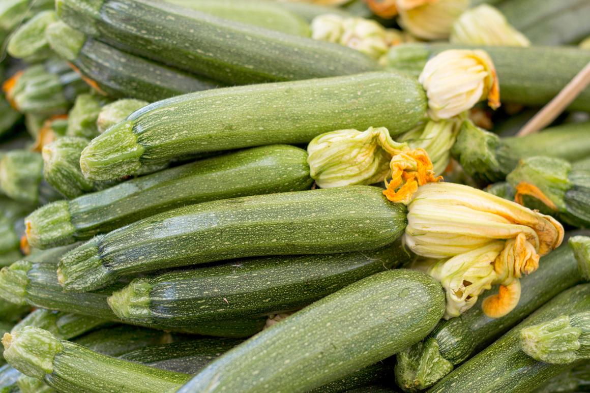 Zucchetti