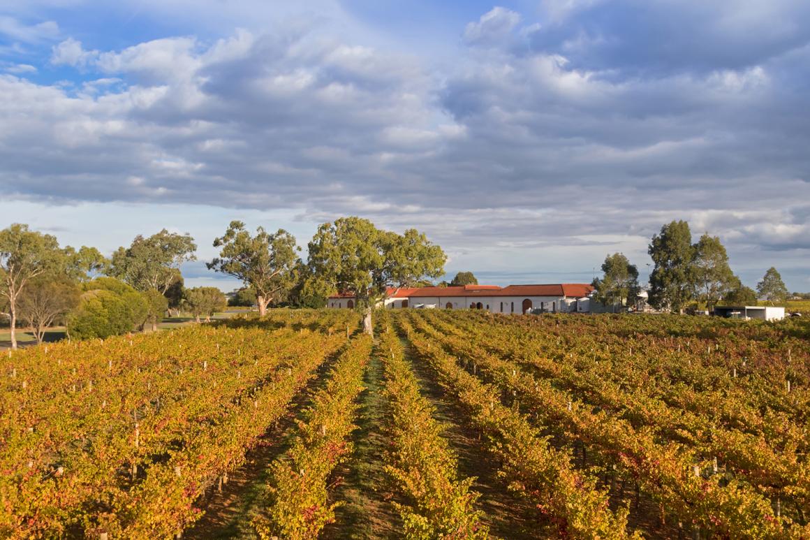 Weinland Australien - australischer Wein