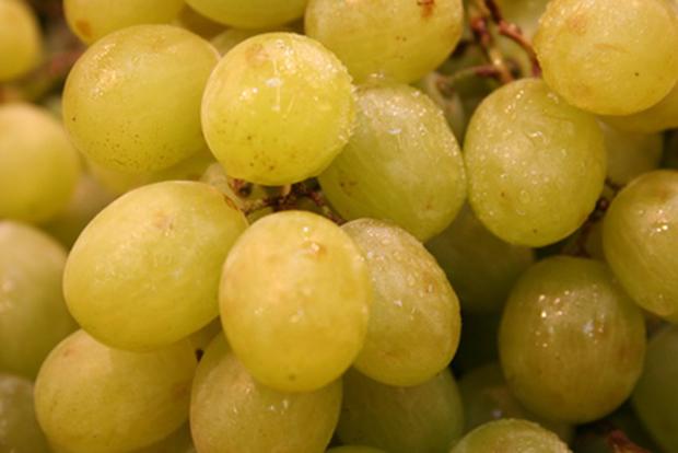 Chasselas