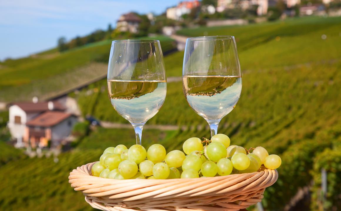 1. Der Wein - ein unerschöpfliches Hobby