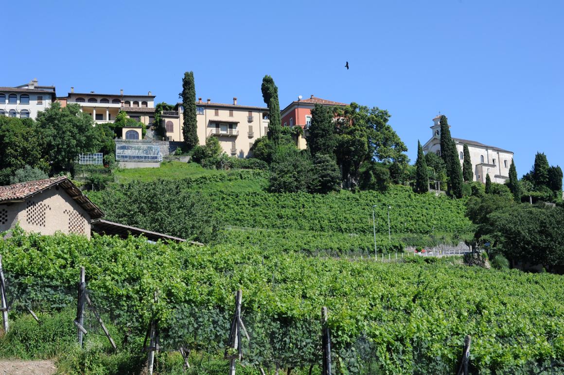 Weinregion Tessin