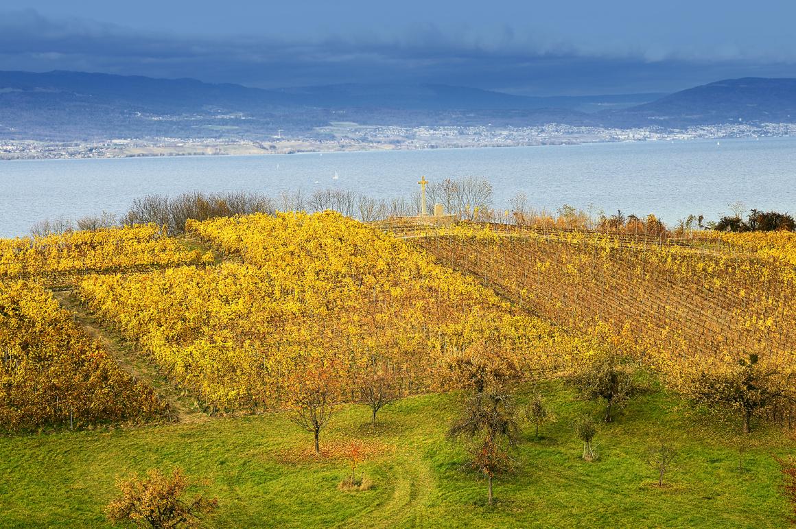 Weinregion Drei-Seen-Region