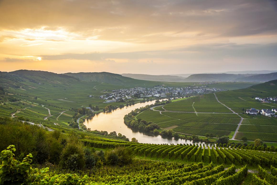Weinland Deutschland - deutscher Wein