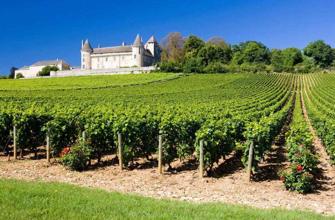 Weinland Frankreich - französischer Wein