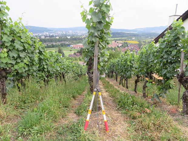 7. Kappen, geizen und ausmisten