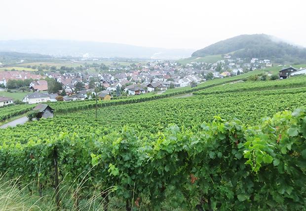 9. Eine geballte Ladung Theorie