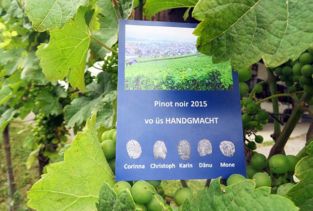 13. Unser Wein ruht noch immer - notgedrungen
