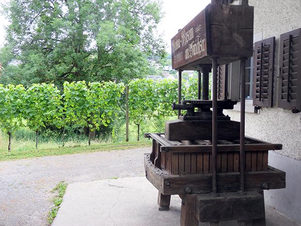 13. Unser Wein ruht noch immer - notgedrungen