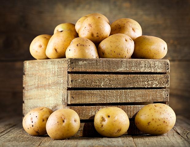 Kartoffeln - Kartoffelsorten