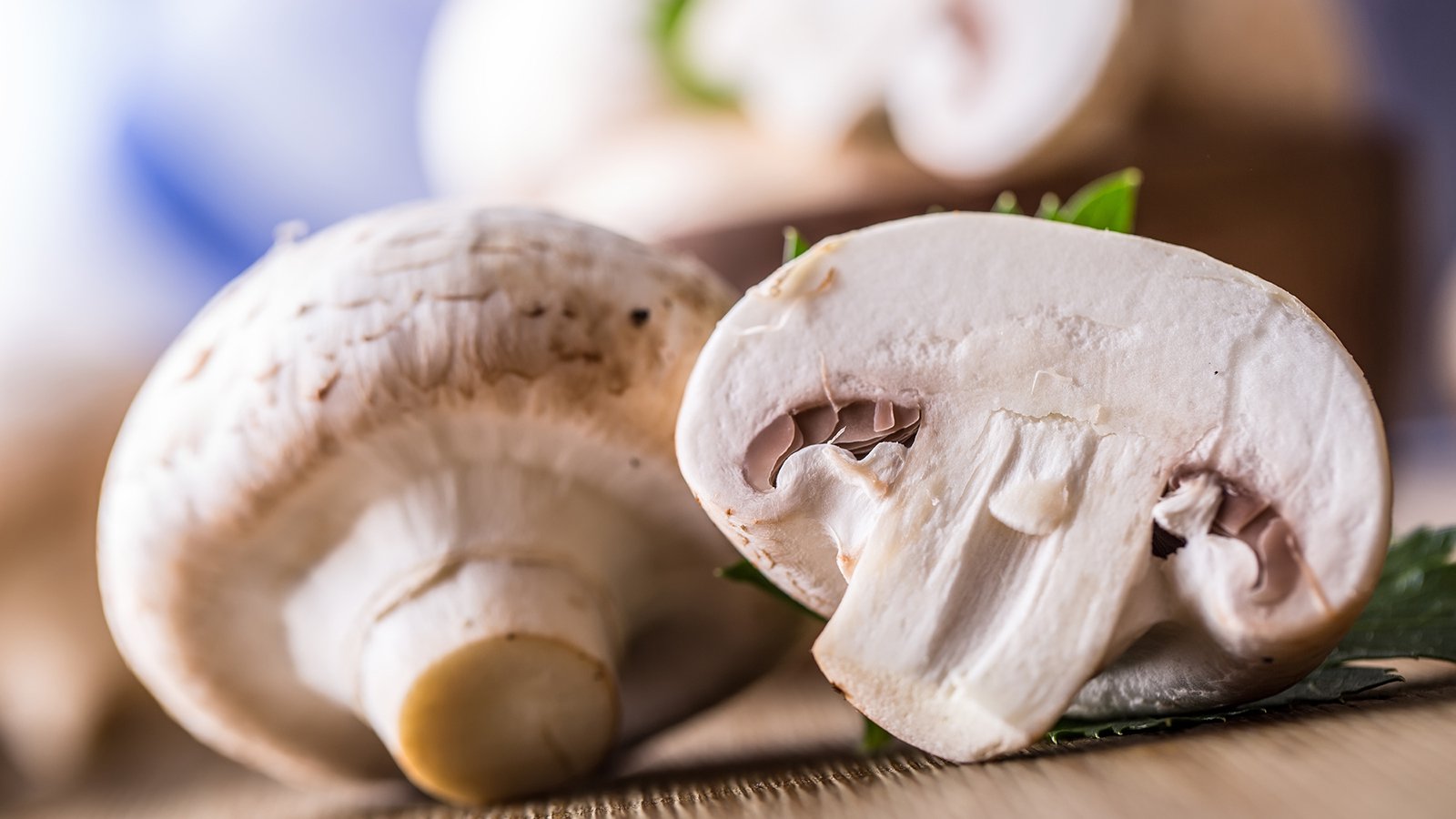 Champignons