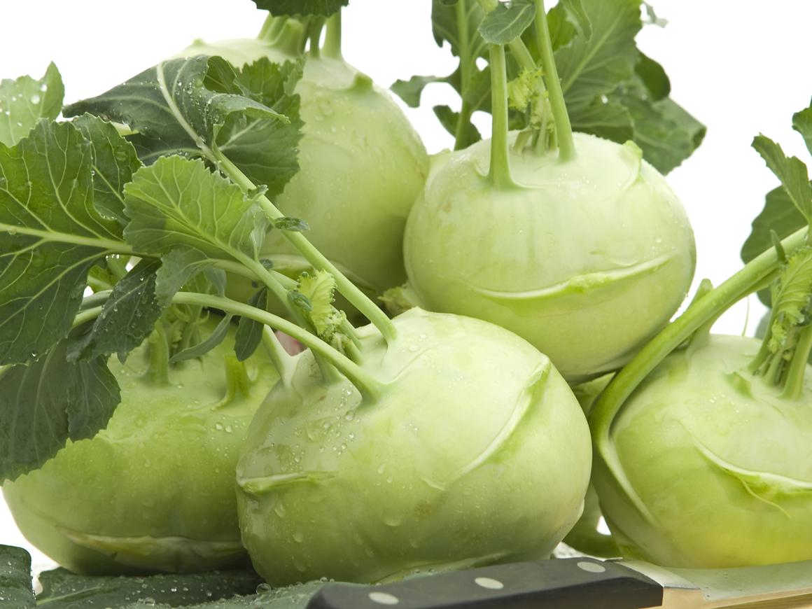 Kohlrabi