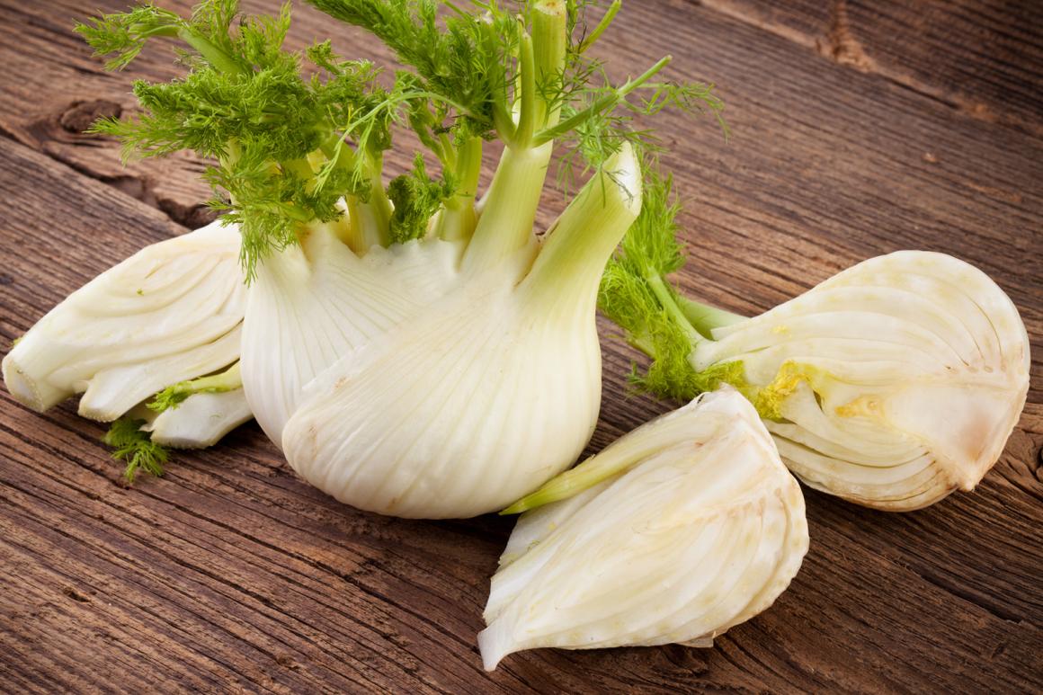Fenchel