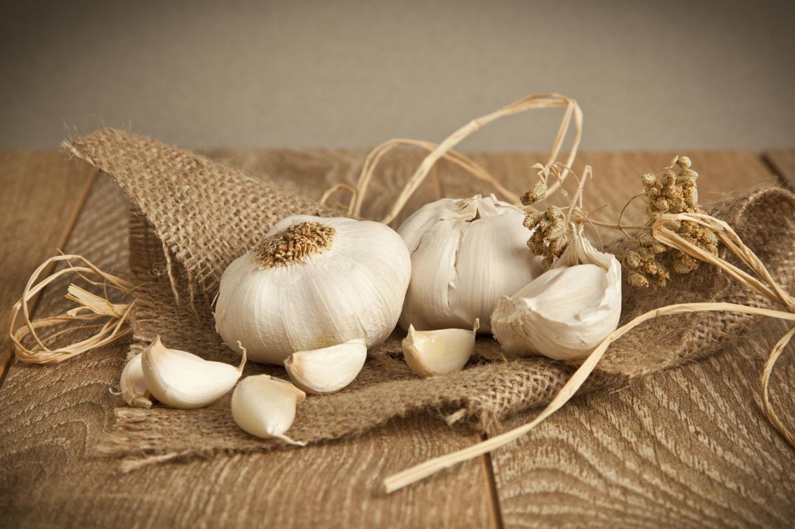 Knoblauch