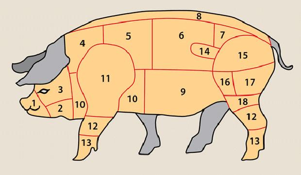 Fleischkunde Schwein