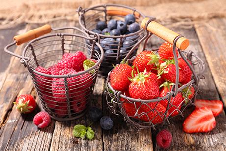 Beeren richtig lagern und verarbeiten