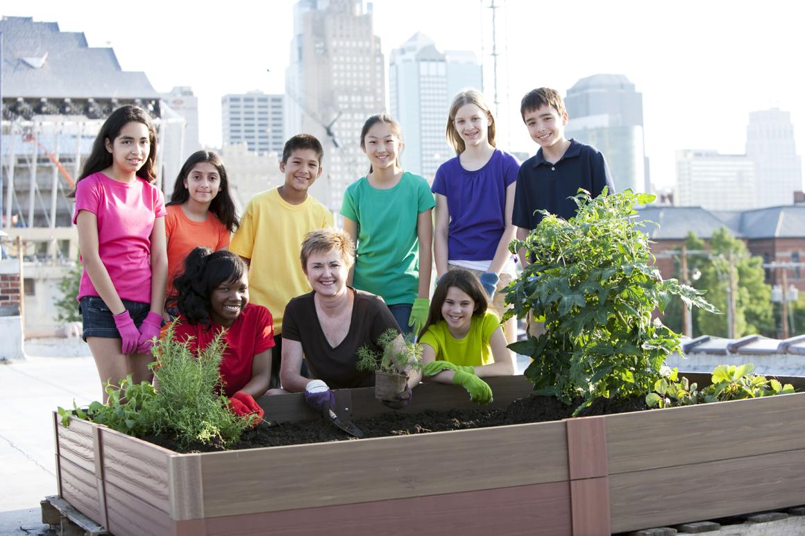 Urban Gardening
