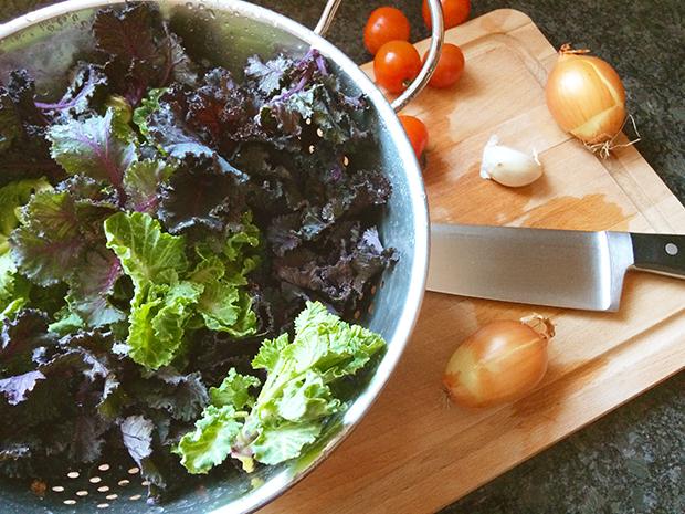 Flower Sprouts: Kohlneuling