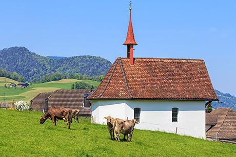 Nidwalden - regionale Spezialitäten